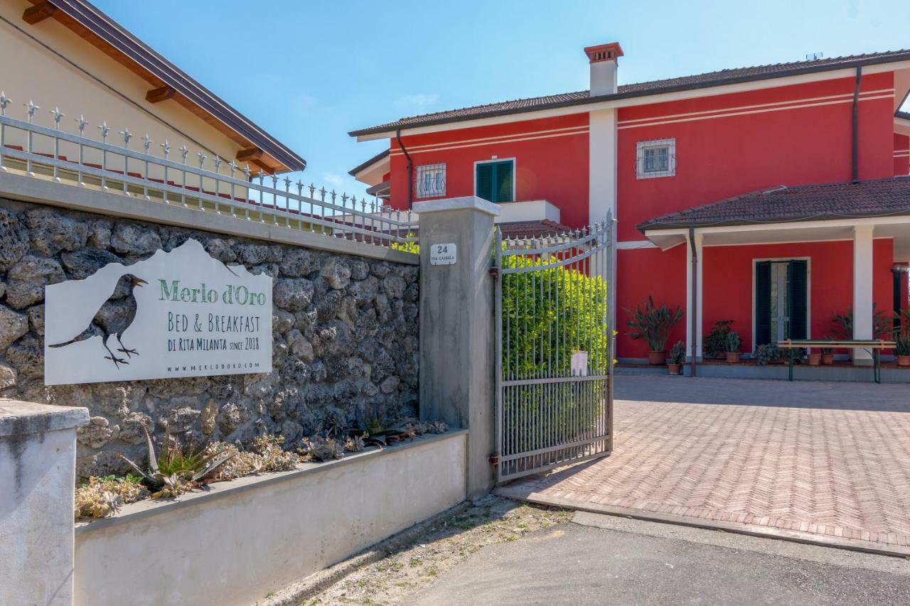 Merlo D'Oro Carrara Eksteriør bilde