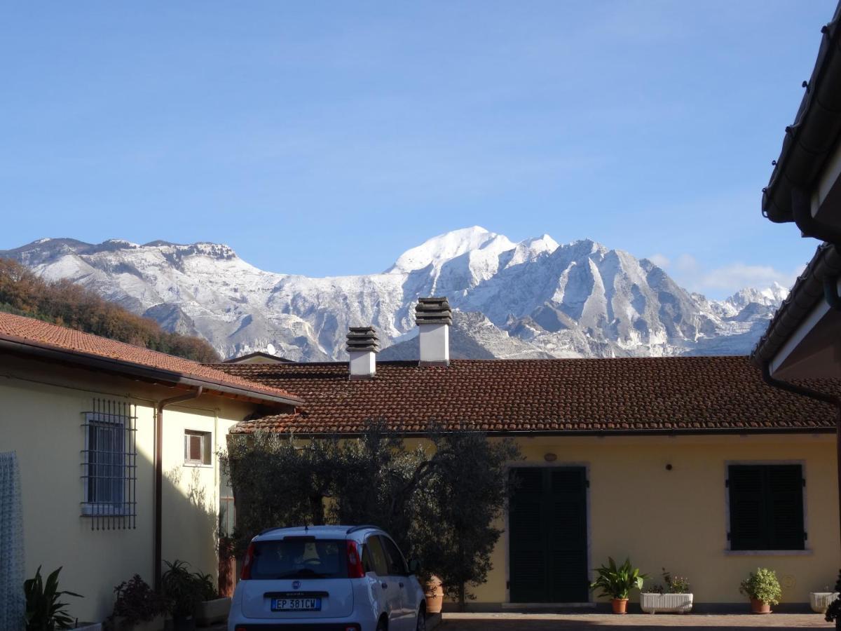 Merlo D'Oro Carrara Eksteriør bilde